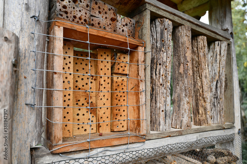 Detail of part of insect house hotel structure made out of natural wood material created to provide shelter for insects to prevent their extinction