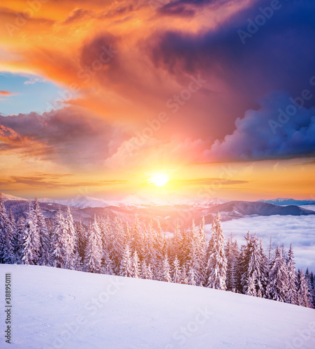 Morning frosty landscape and snowy coniferous forest. Location place Carpathian mountains, Ukraine, Europe.