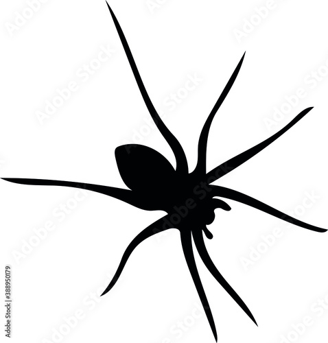 Black silhouette of a spider isolated on a white background.  Vector Doodle illustration for greeting cards, posters and Halloween designs.