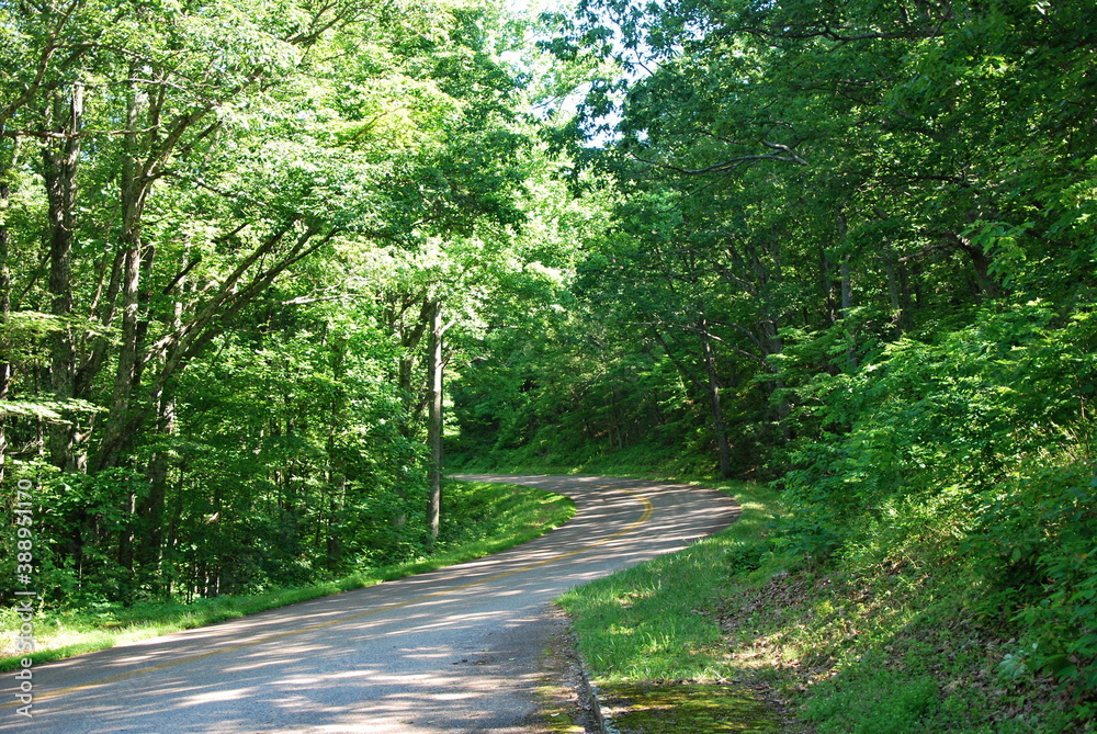 Fototapeta premium Landschaft im Shenandoah National Park, Virginia