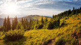 Magnificent sunny day in tranquil mountain landscape. Perfect summertime wallpaper.