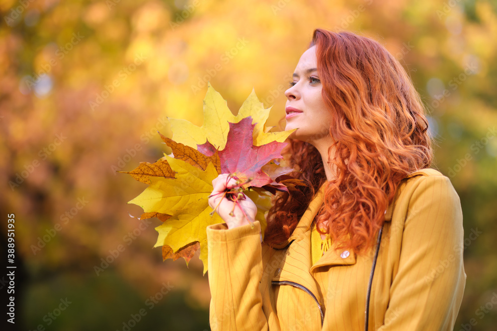 Cute smiley woman holding autumn leafs in the nature. Cute smiley woman holding autumn leafs in the nature.
