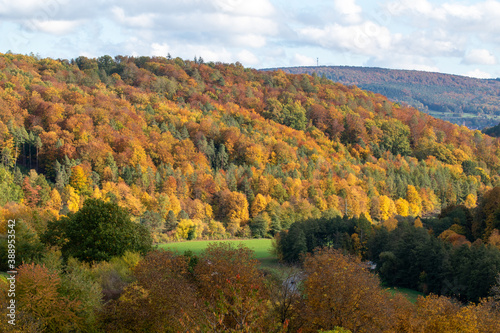 Goldener Herbst Wald im Spessart in der Nähe von Elsenfeld.