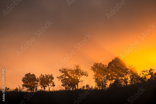 Fototapeta Naklejka Na Ścianę i Meble -  Mountain and Trees and orange sky Silhouette scene