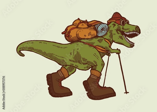 Hiking dino. T-rex dinosaur traveler with a back pack, trekking poles and hiking boots. Isolated vector illustration.