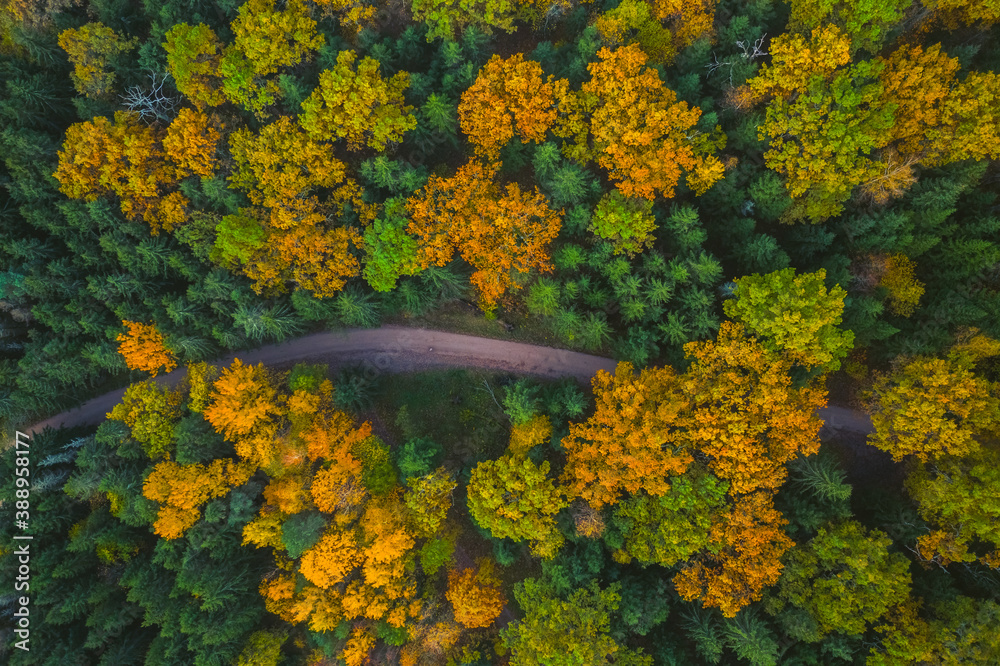 Aerial view of the bend road passing the forest Aerial view of the bend road passing the forest