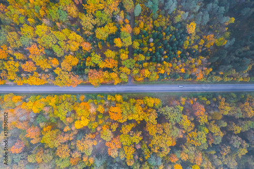 Aerial view of the road passing the forest with a car passing by photo