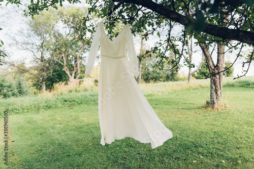 Suknia ślubna na drzewie
