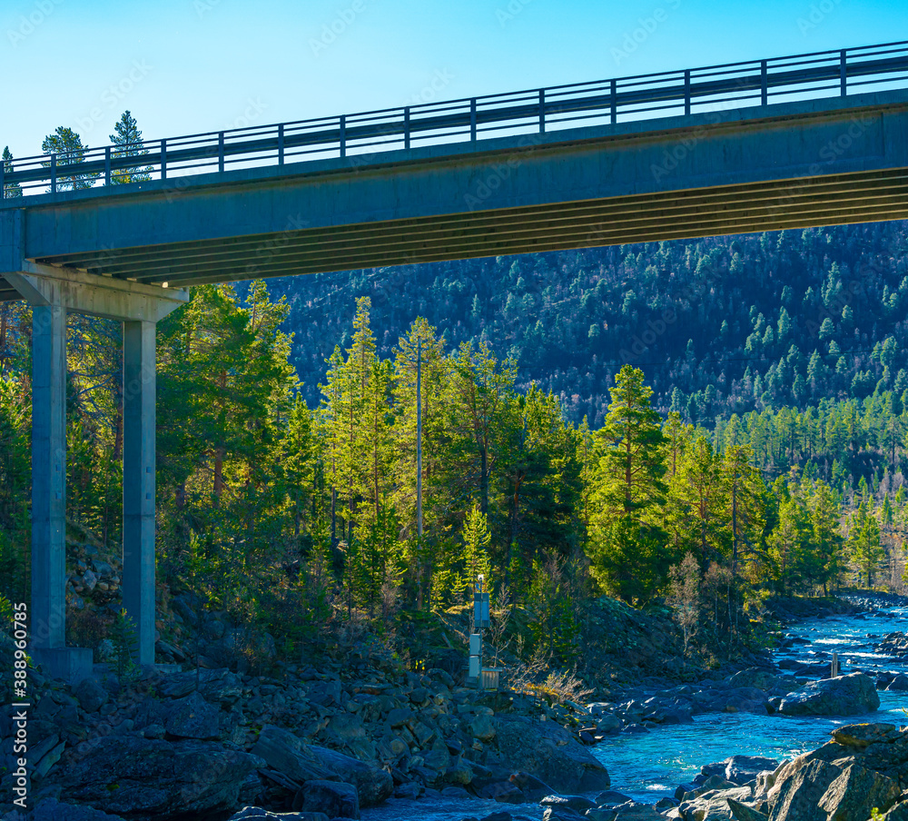 Modern highway bridge crossing over a wild river valley in a pine forest.