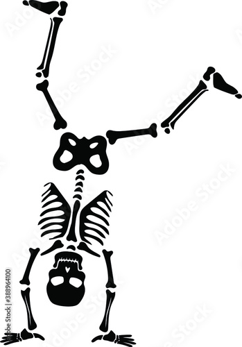 Skeleton doing somersault silhouette vector. Halloween
