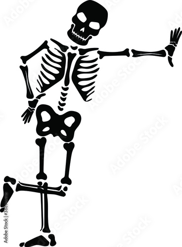 Friendly skeleton silhouette vector. Halloween
