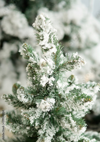 Close-up of a twig on a Christmas tree decorated with artificial snow. Concept of New year.