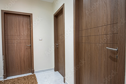 Three closed wooden doors interior design