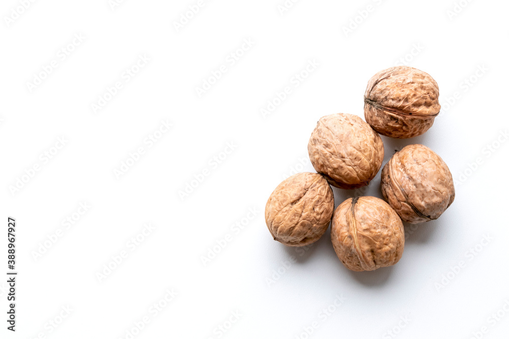 close up of walnut wood grain in autumn season in brown color isolated on white background with space for texting. close up of walnut wood grain in autumn season in brown color isolated on white background with space for texting.