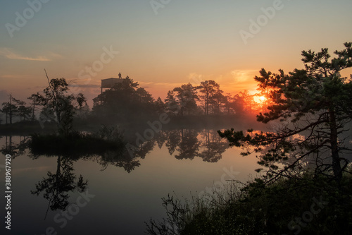 sunrise in a swamp in Estonia