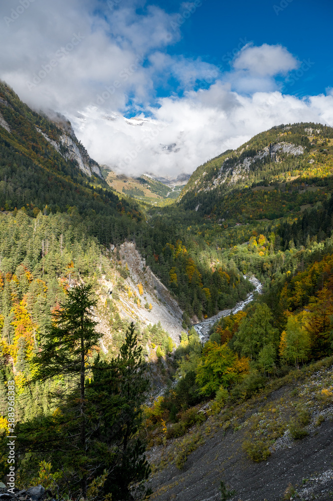 autumn forest in Valley Derborence in Valais