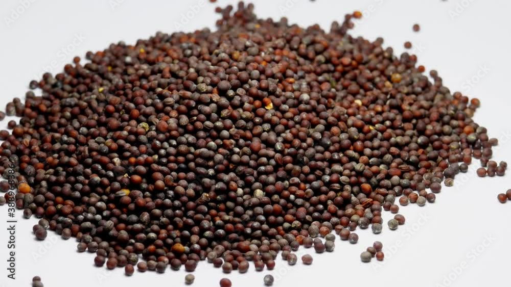 Mustard seeds, brown seeds on turn table Mustard seeds, brown seeds on turn table