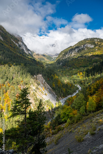 autumn forest in Valley Derborence in Valais