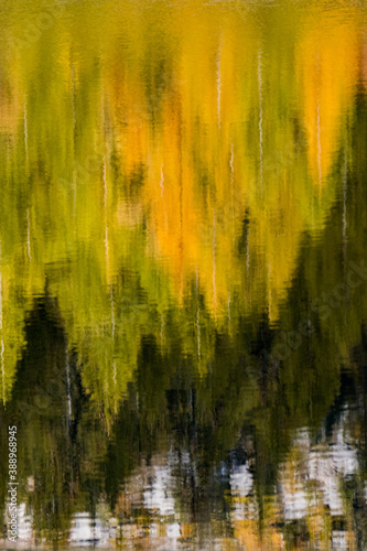 yellow larches reflection in mountain lake
