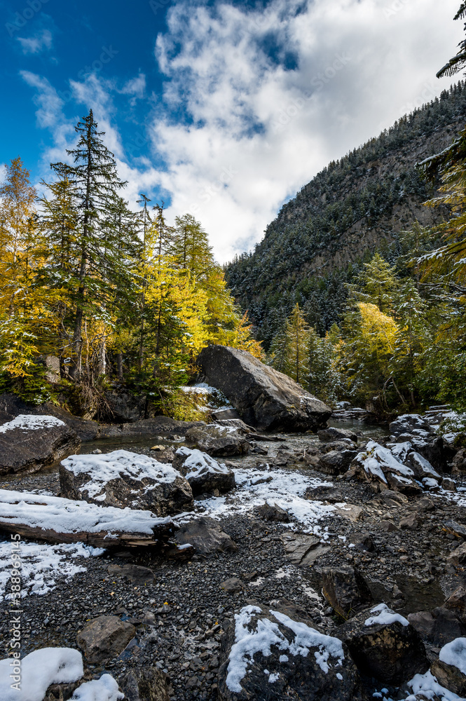 pristine mountain creek at Derborence in autumn in Valais pristine mountain creek at Derborence in autumn in Valais