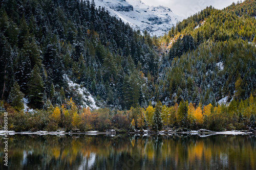 reflection of autumn forest at Lac de Derborence in Valais