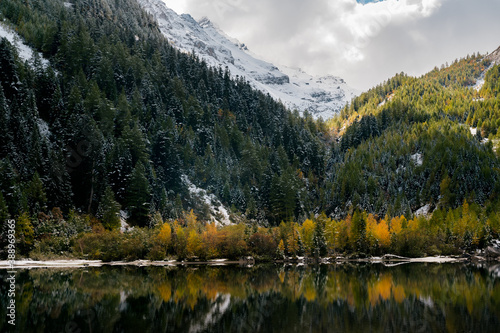 reflection of autumn forest at Lac de Derborence in Valais