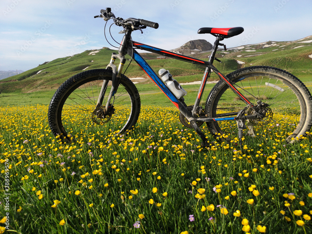 In the mountains, green meadows and a bike, yellow flowers, blue sky
