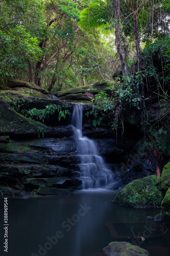 Lilly Pilly waterfall after rain at Lane Cove  Sydney  Australia.