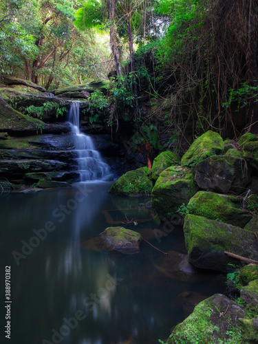 Mossy rocks around the waterfall at Lane Cove, Sydney, Australia.