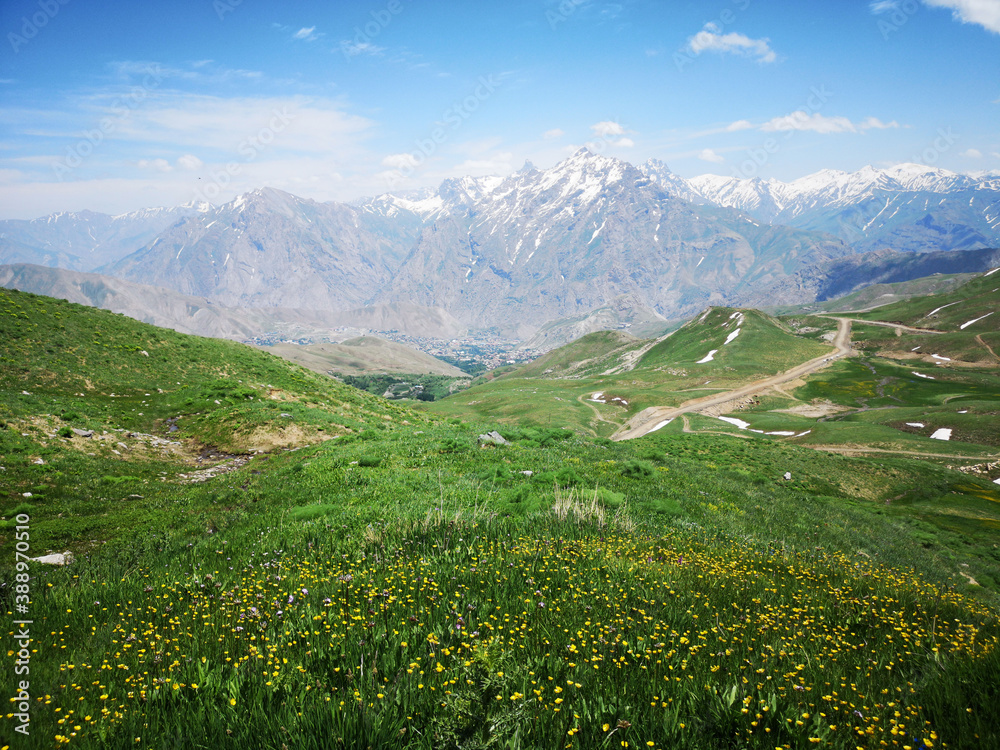 field of yellow flowers, green meadows and mountains, blue sky
