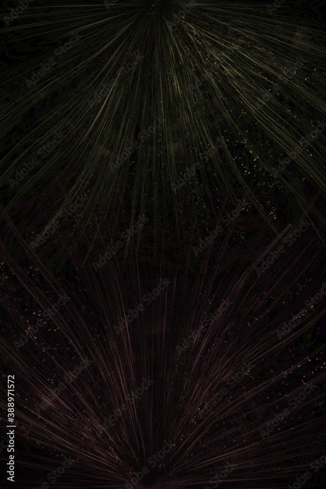 Obraz premium Christmas winter snowy background 