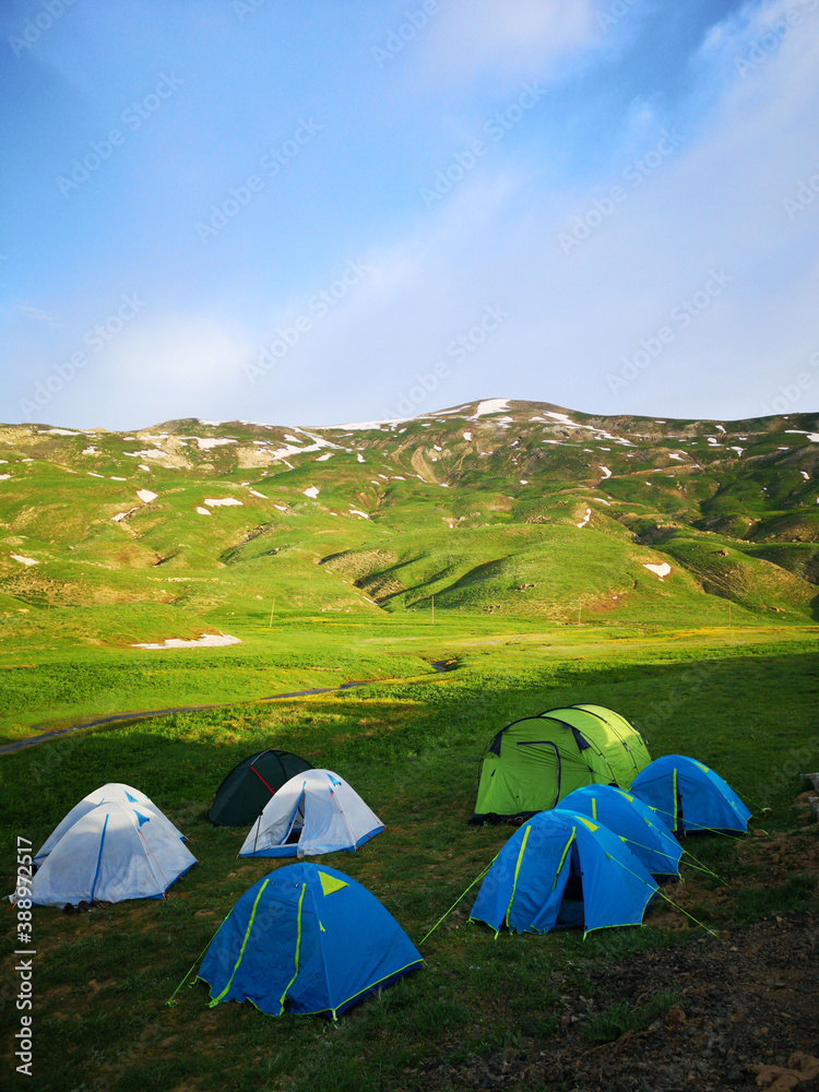 camping tents in the mountains, green meadows, colorful camping tents, nature and life
