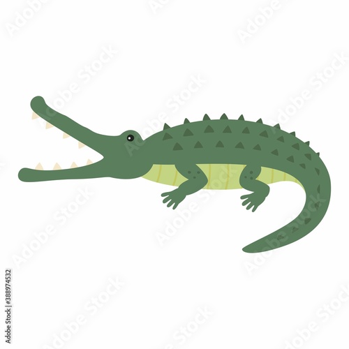 Funny crocodile. Vector illustration isolated on white background. © Nadzin