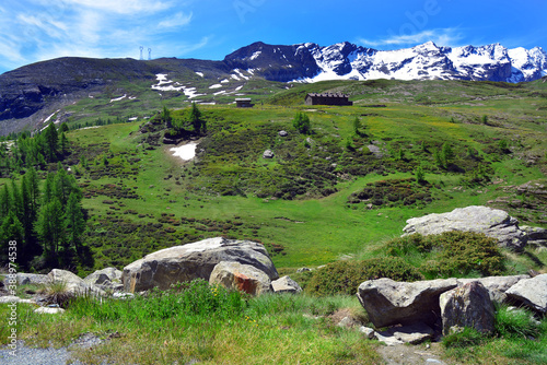 The alpine scenic landscapes of mountains, meadows and flowers at Dondena, Aosta Valley, Italy in the natural reserve of Mount Avic.
