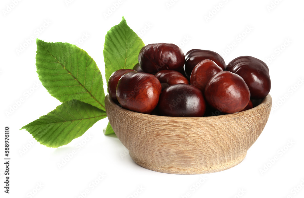 Horse chestnuts in bowl on white background Horse chestnuts in bowl on white background
