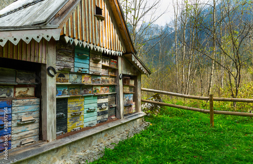 Old Beehive, Bavsica, Julian Alps, Municipality of Bovec, Tolmin, Slovenia, Europe photo