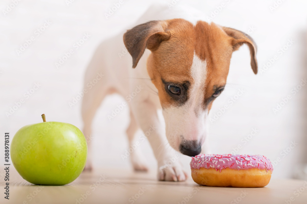 Can Dogs Eat Granny Smith Apples