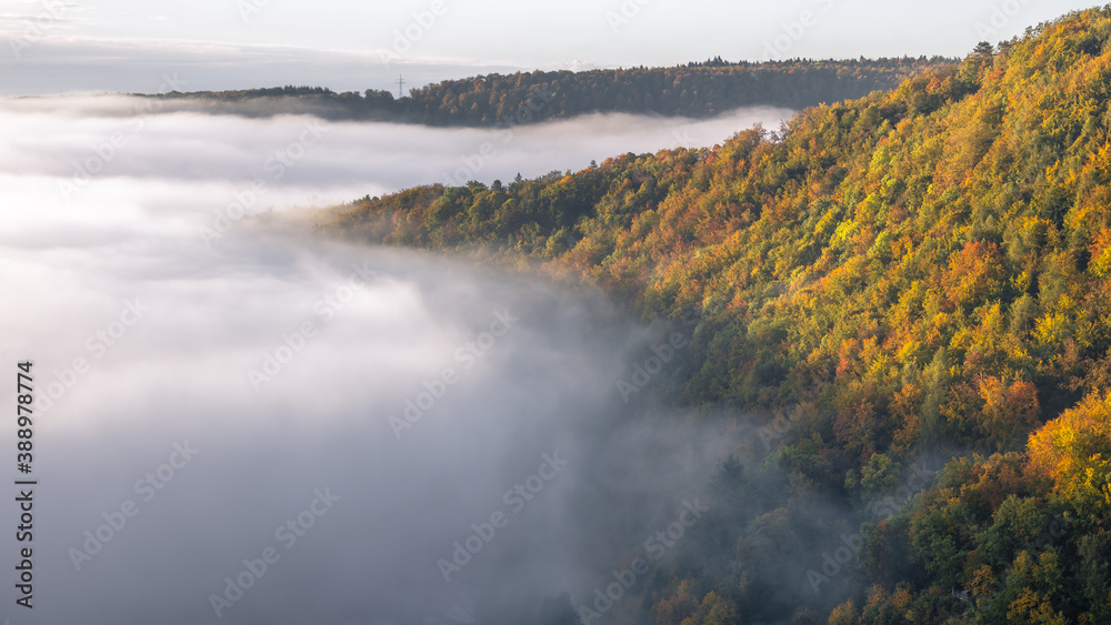 mysterious fog rising over a valley with a colorful autumn forest at sunrise mysterious fog rising over a valley with a colorful autumn forest at sunrise