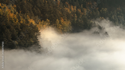 mysterious fog rising over a valley with a colorful autumn forest at sunrise © Moritz Klingenstein