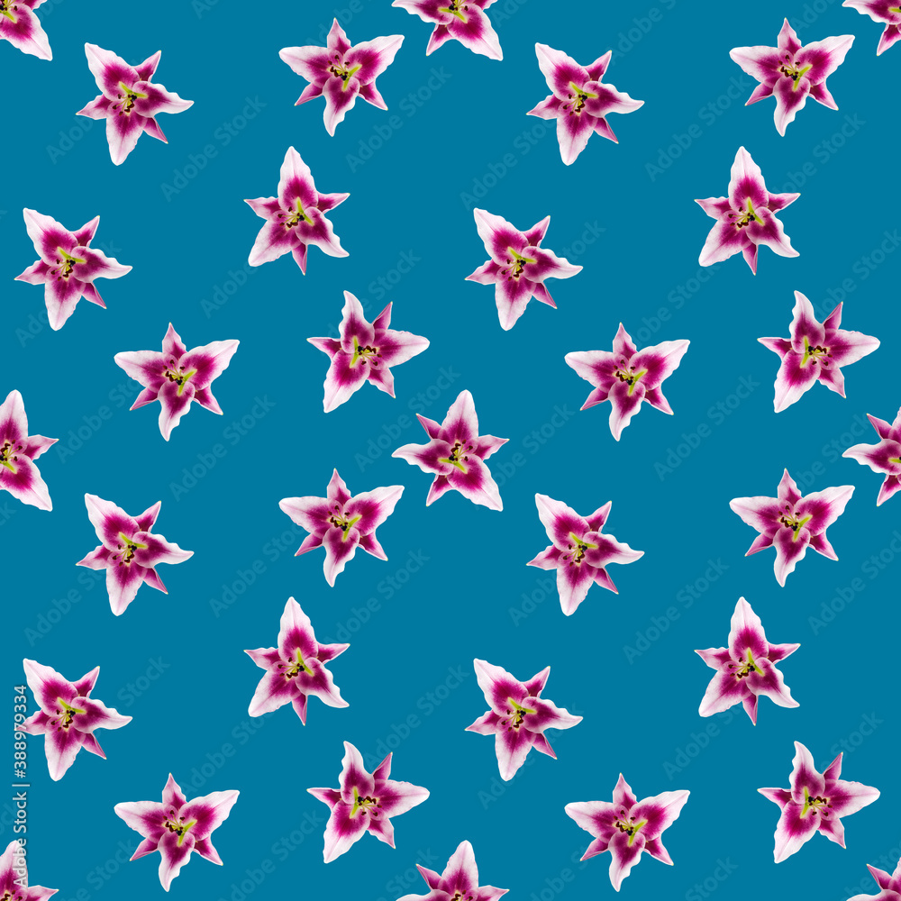 seamless pattern of Lily flower bloom. Lily flowers over blue background seamless texture. flat lay flower pattern seamless pattern of Lily flower bloom. Lily flowers over blue background seamless texture. flat lay flower pattern