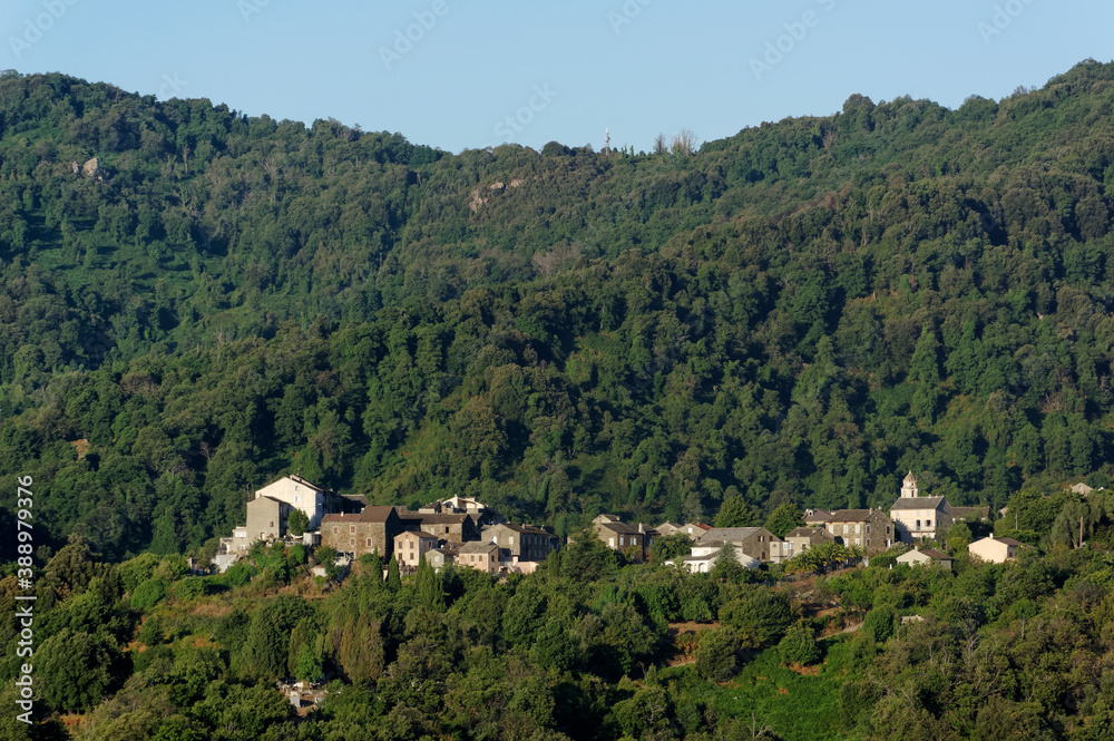 Pietra-di-Verde village in Upper Corsica mountain