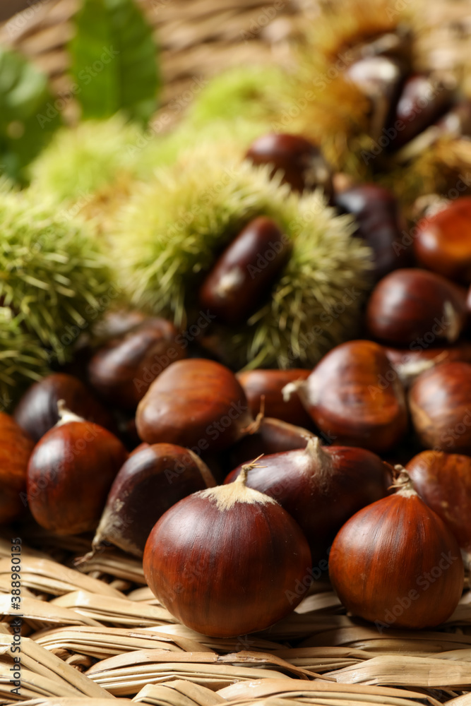 Fresh sweet edible chestnuts on wicker mat, closeup Fresh sweet edible chestnuts on wicker mat, closeup