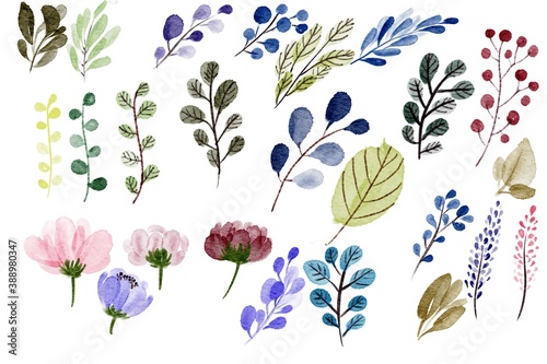 Watercolor set flowers and leaves 