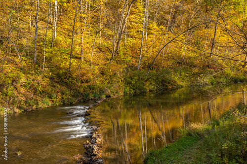 A River With Rock Dam In The Woods In Autumn