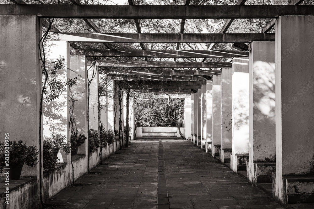 Symmetrical view of the pergola of a romantic style garden