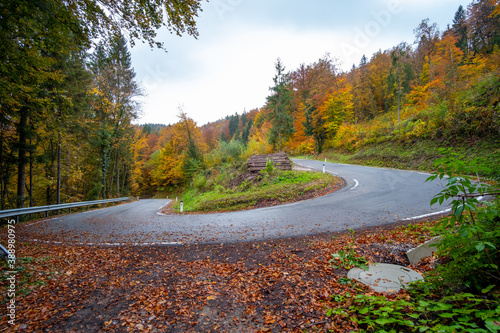 driving on a curvy mountain road through a beautiful forrest in autumn displaying colorful foliage after a rainy day. Traveling on a road trip through a beautiful landscape with bright colors. 