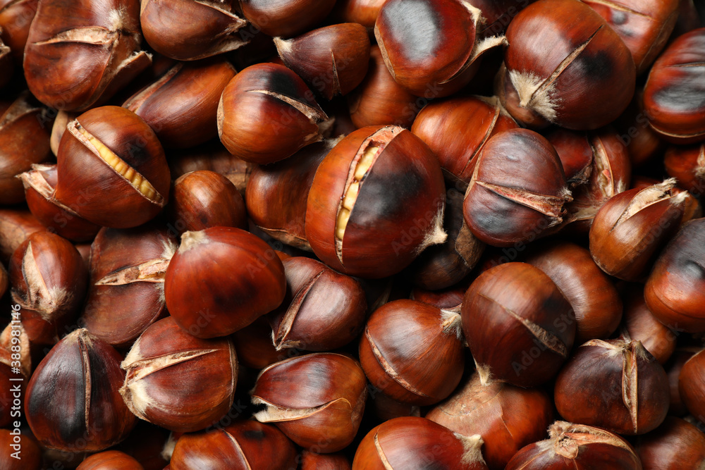 Obraz premium Pile of delicious edible roasted chestnuts as background, closeup