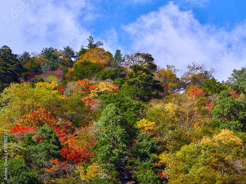 秋、高瀬渓谷の七倉山荘付近からの紅葉 長野県大町市