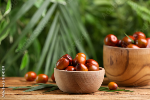 Fresh ripe oil palm fruits on wooden table