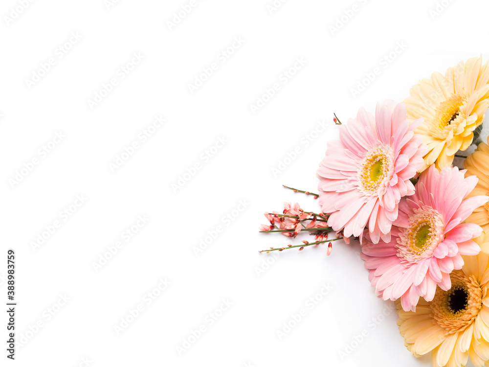 Beautiful pastel pink and orange gerbera bouquet isolated on white background. Giving flowers for womens, mothers day, vertical